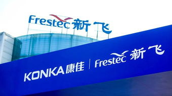 新飞重现央视荧幕 回归白电主流阵营的启航