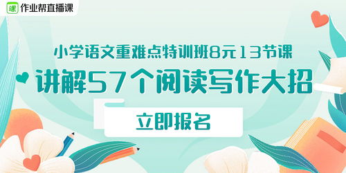 信息流广告设计全攻略 新壹达如何帮你打造爆款广告